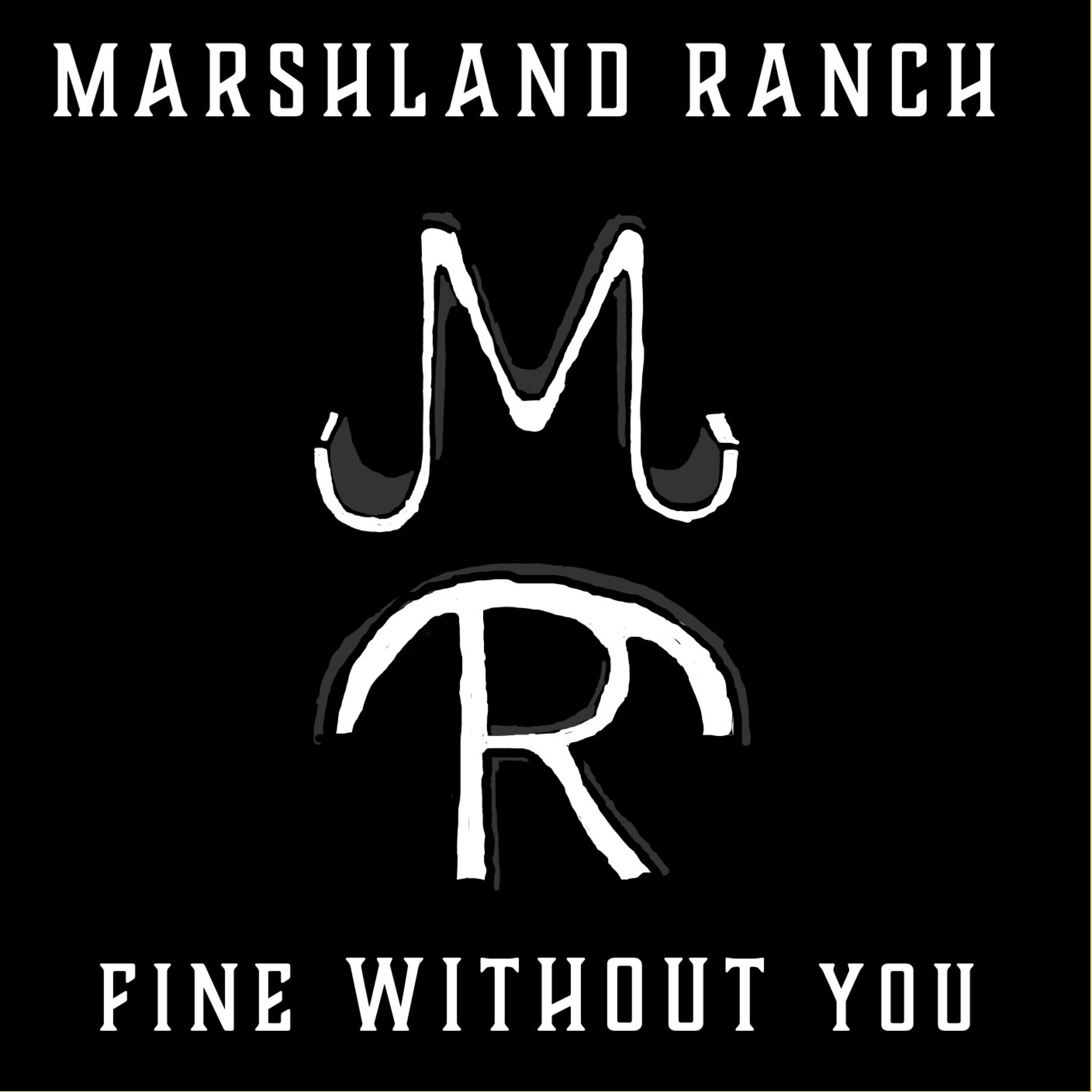 Fine Without You - Single