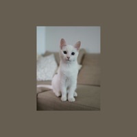 มากมายเท่าไหร่ มันมากจนเกินบรรยาย (Speed Up) - Single - Shineboys