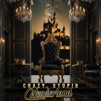 Crazy, Stupid, Wonderland - Halez Nation
