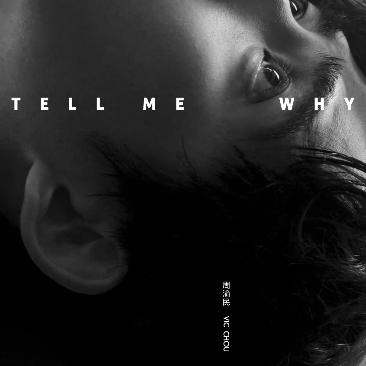 周渝民 – Tell Me Why – Single (2026) [iTunes Plus AAC M4A]-新房子