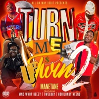 Turn Me Up Twin 2 (feat. Wnc WhopBezzy, Hoolibaby Neeno & Tweeday) - Single - Mane Tane