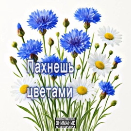 Пахнешь цветами og плаг!