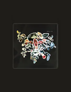 Listen to Tamburi Neri, watch music videos, read bio, see tour dates & more!