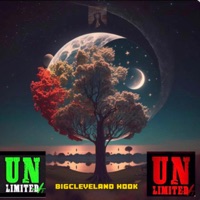 Let us Fly (feat. Rip tha Reapa & OBMP Music) - Single - MindOverMatterJP