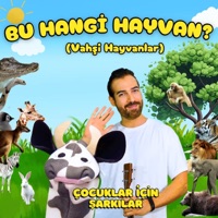 Bu Hangi Hayvan (Vahşi Hayvanlar) - Single - Çocuklar İçin Şarkılar