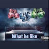 What He Like (Single) [feat. Steven Mayweather & Gutta K]