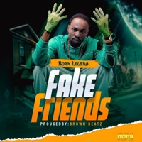 Fake Friends - Single - Born Legend