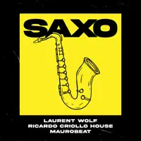 Saxo — LAURENT WOLF & RICARDO CRIOLLO HOUSE
