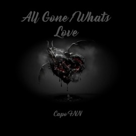 All Gone/Whats Love Capo FNN