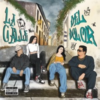 LA CALLE DEL DOLOR - Single - El Pandaa