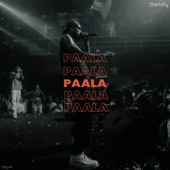 Paala artwork