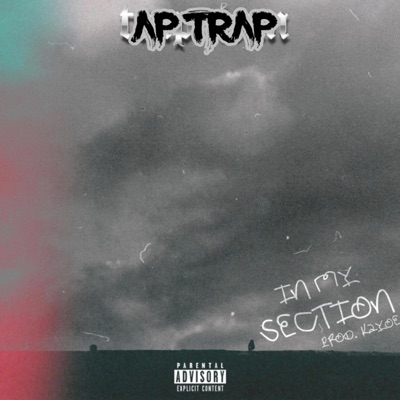 In My Section - Single