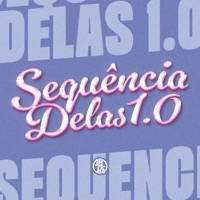 Sequencia Delas 1.0 - Single - Dj rosente