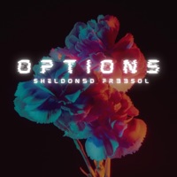 Options (feat. FR33SOL) - Single - Sheldon5d