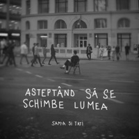 Asteptand sa se schimbe lumea (feat. Samia) - Single - Skizzo Skillz