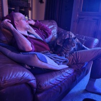 Duality and Memes - Single - A-R-T