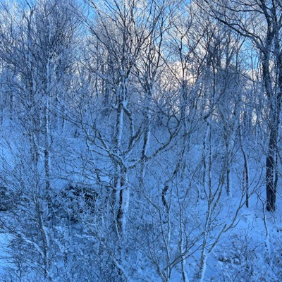 all over (feat. xstasyslim) - Single