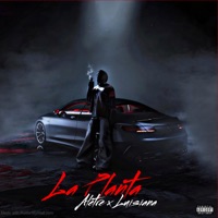 La Planta - Single - Alettre Paketero