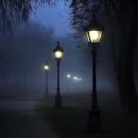 Lonely - Single - Under Glass