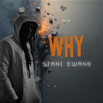 Why (feat. Silver) - Single