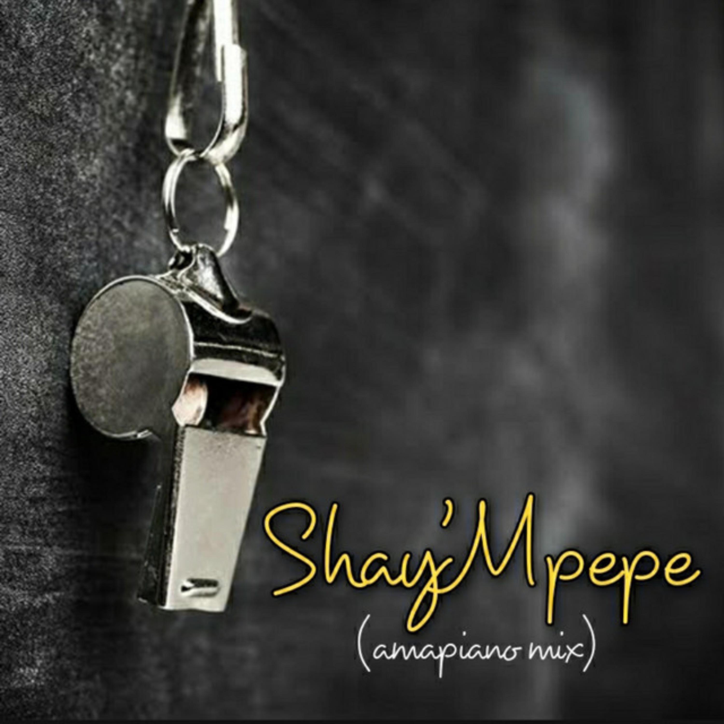 Shay'mpempe (feat. Dj Mavuthela, Ribby De Deejay & Rhino) - Single