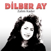Dilber Ay - Single - Dilber Ay