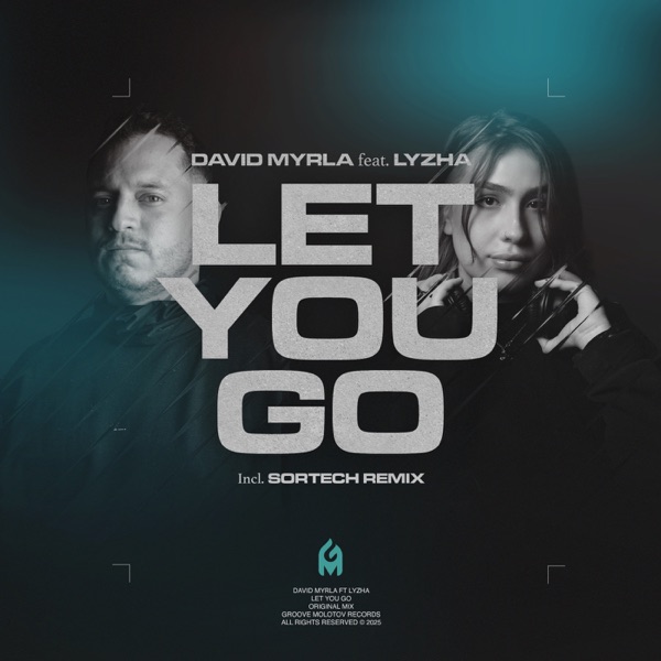 Let You Go (feat. Lyzha) - Single