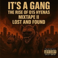 The Rise Of 015 Hyenas : Lost and Found Mixtape II - It's a Gang