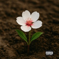 DELIVERED - Single - iWobble, Beauty & 626authentic