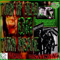 Turn Up Dead or Turn Insane - Single - ANGELMANE, VISIONTRBL & kimexoo