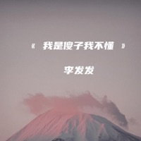 我是傻子我不懂 - Single - 李发发