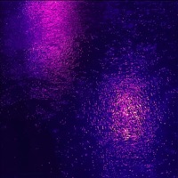 PURPLE RAIN - Single - Donny the Prodigy