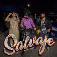 Salvaje - Single - Leal Sonido, Naickyb & Polyezzy