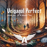 Ucigasul Perfect (feat. L6 & Amalia Tirle) - Single - Don Aaron