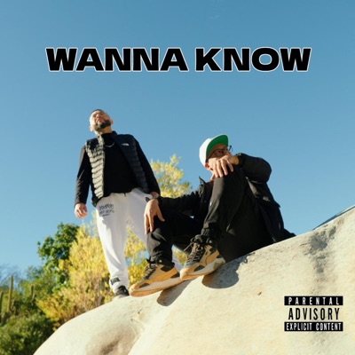 WANNA KNOW (feat. Robman) - Single