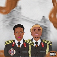 New Levelz (feat. Dullar boi) - Single - Quty