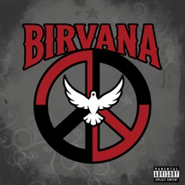 Disco Birvana