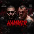 HAMMER