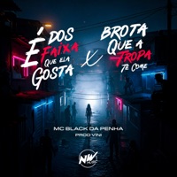 É dos Faixa Que Ela Gosta X Brota Que a Tropa Te Come - Single - MC Vini