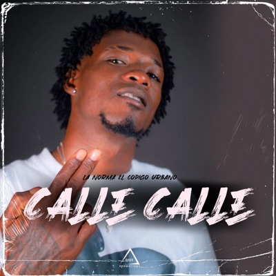 Calle Calle (feat. Erick Producelo & Dave Promotions) - Single