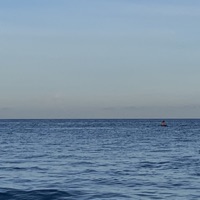 December Composer (Piano Version) - Single - Vicky宣宣