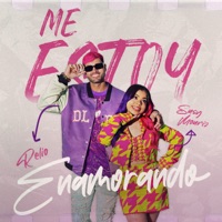 Me Estoy Enamorando - Single - Susy Mouriz & Relio
