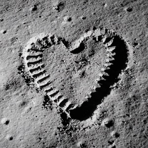 To the Moon and Back