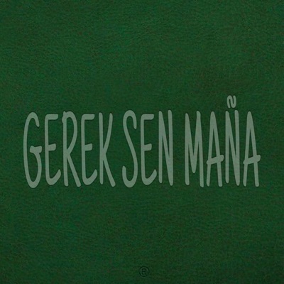 Gerek sen maňa (feat. Didarr) - Single