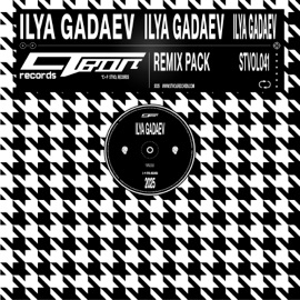 куда летят мысли? (Remix) Ilya Gadaev & внимание брусника!