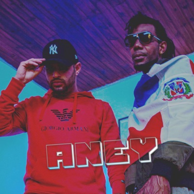 MikeProducer MusicRécord, Vol. 01 (feat. Aney) - Single