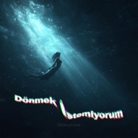 Dönmek İstemiyorum - Single - Gökyüce