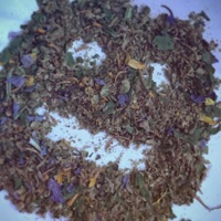 roach - Single - Bugboi