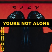 Youre Not Alone - Single - FILV