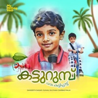 Katturumbu (feat. Sarbaz Malik & Sangeeth Sagar) - Single - Suhail Sulthan